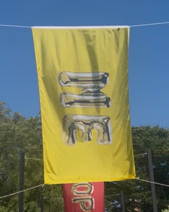 Joel Mesler "Me" Flag