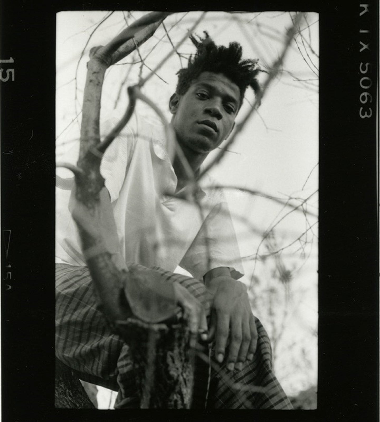 Michael Halsband, Jean-Michel Basquiat 'get me in this tree'
